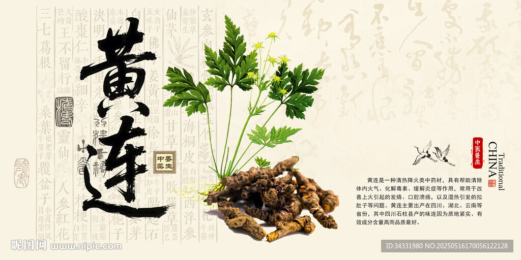 黃連