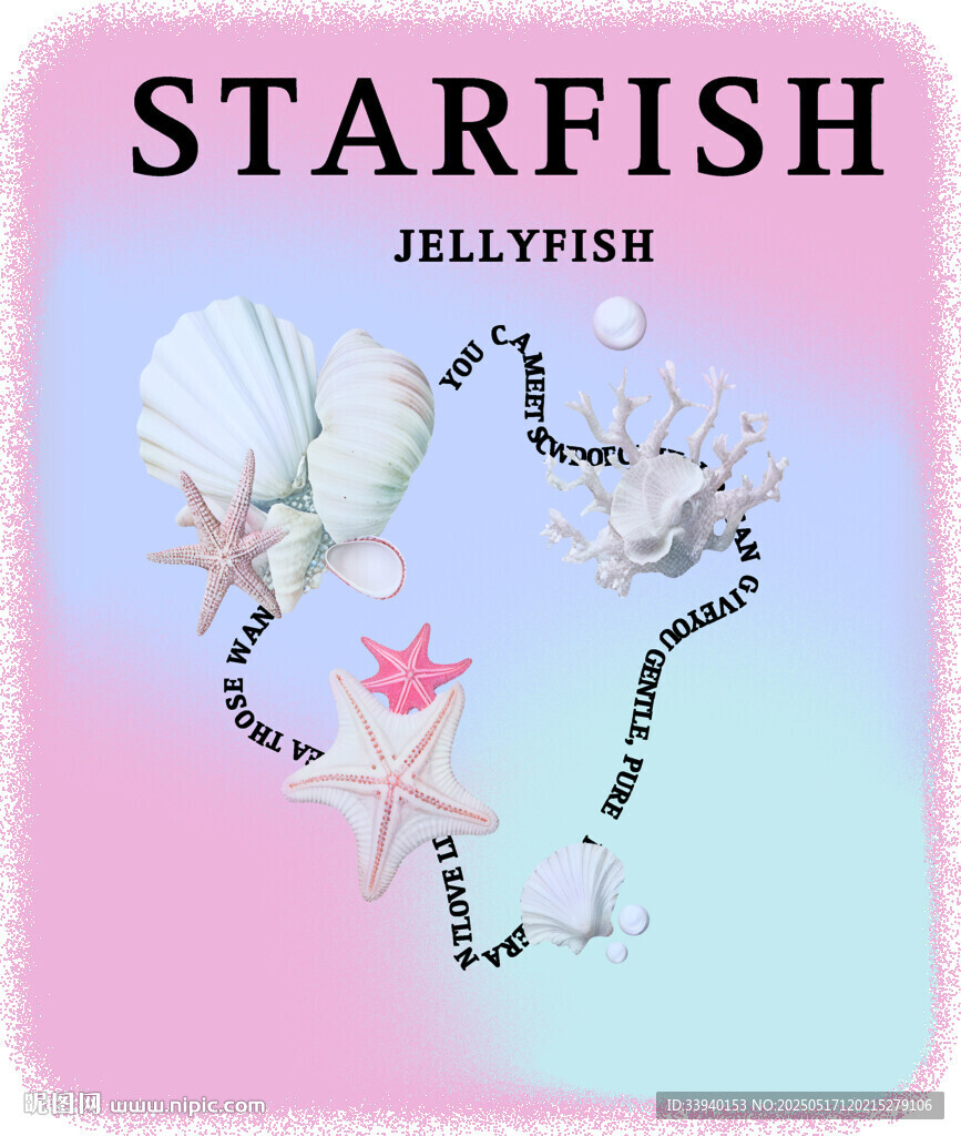 海星水母貝殼夢幻組合