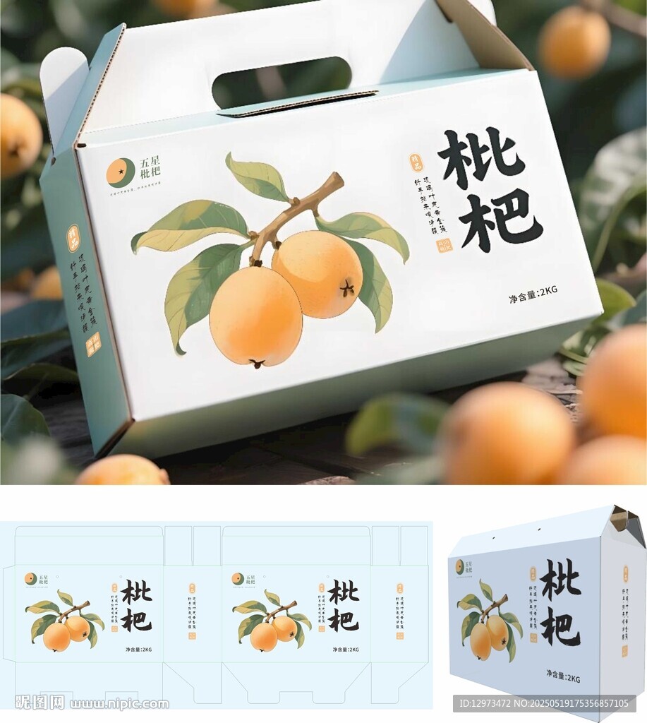 枇杷紙箱