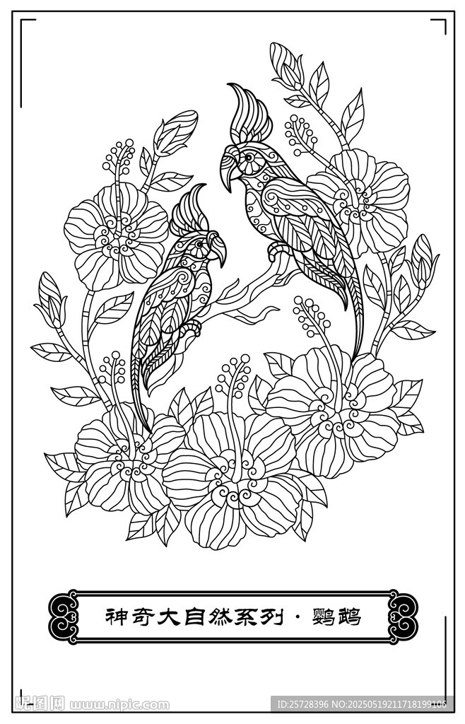 花鳥圖案黑白插畫設計