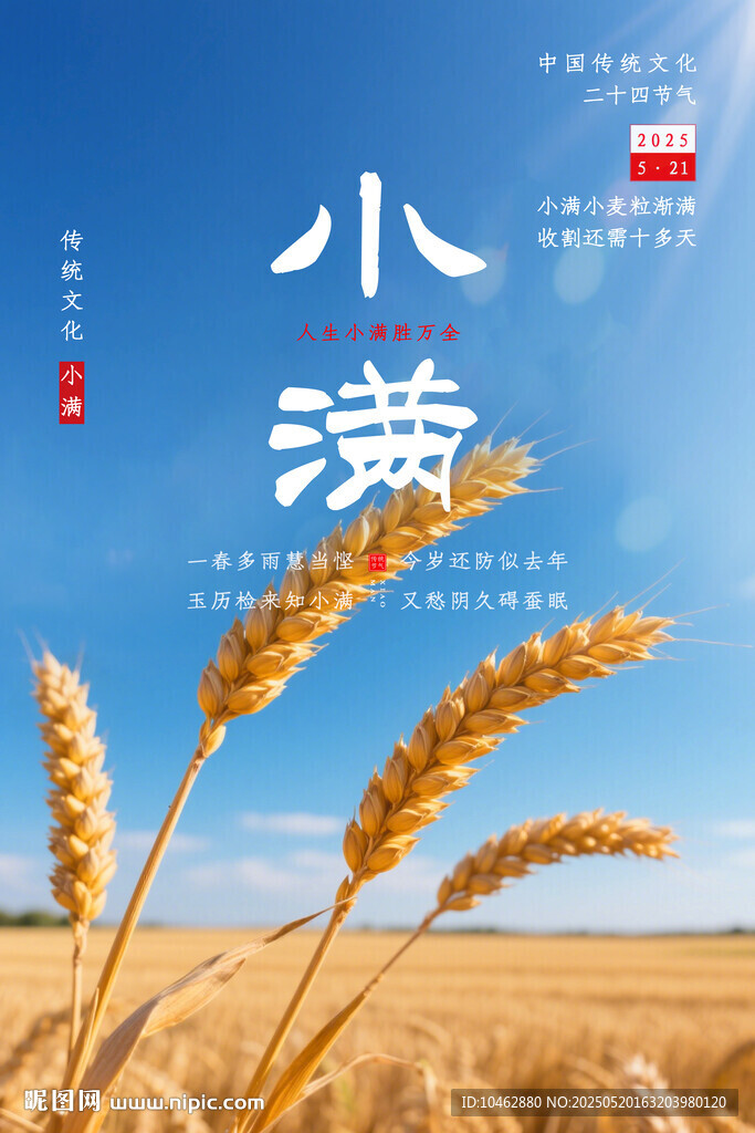 二十四節(jié)氣小滿金黃小麥海報(bào)