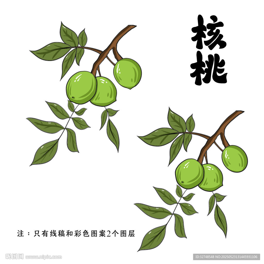 枝頭青核桃 清新自然風