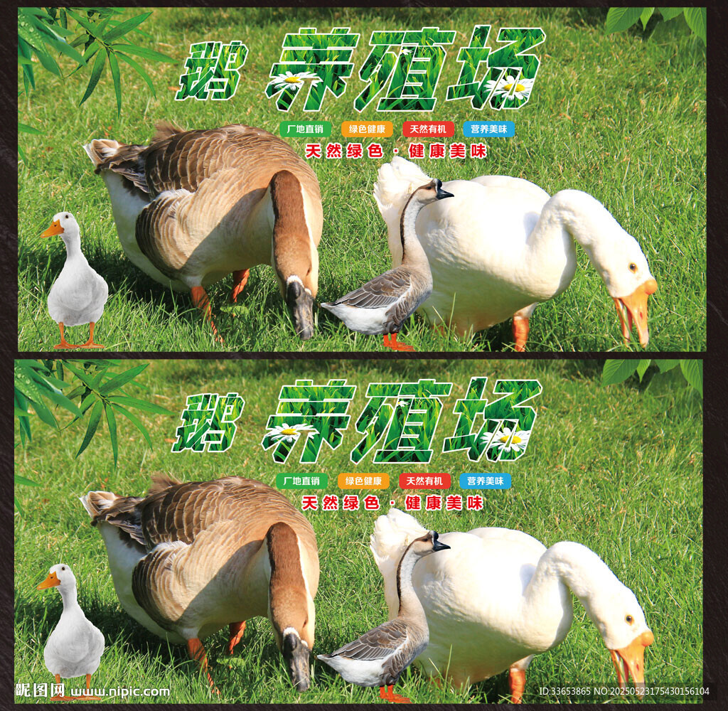 鵝