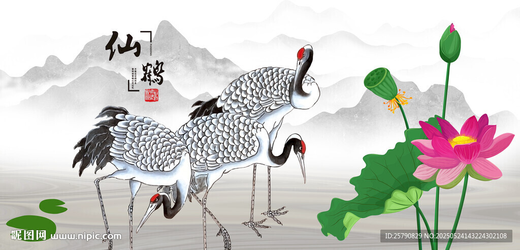 仙鶴白鶴丹頂鶴