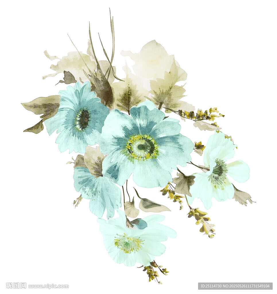 淡藍色花卉水彩插畫