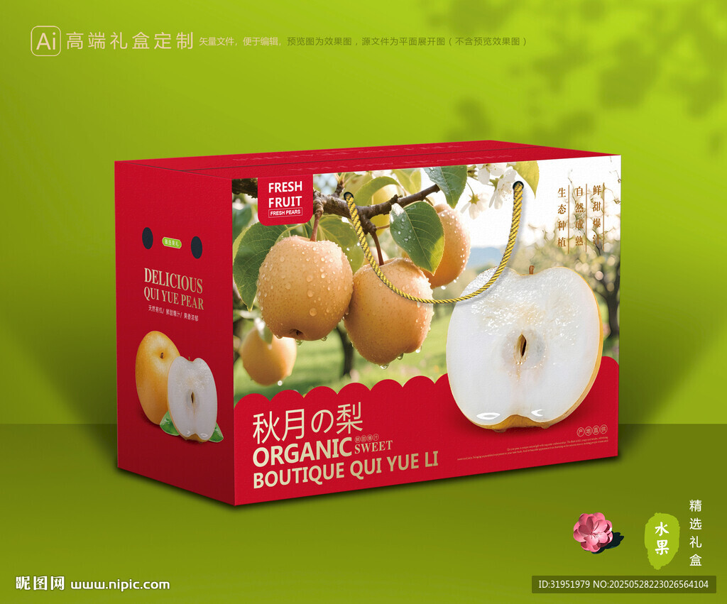 秋月梨禮盒 梨包裝