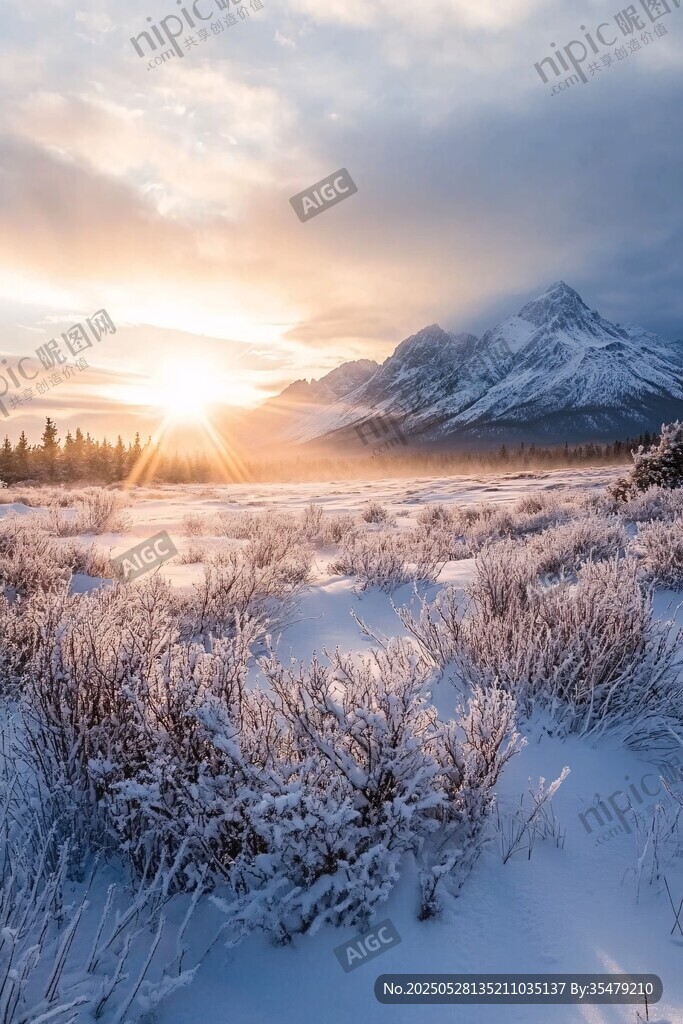 雪野晨光中的壯美雪山