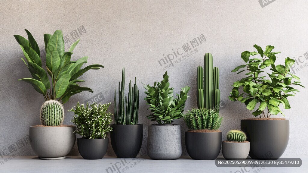 多樣盆栽展示清新綠植風(fēng)