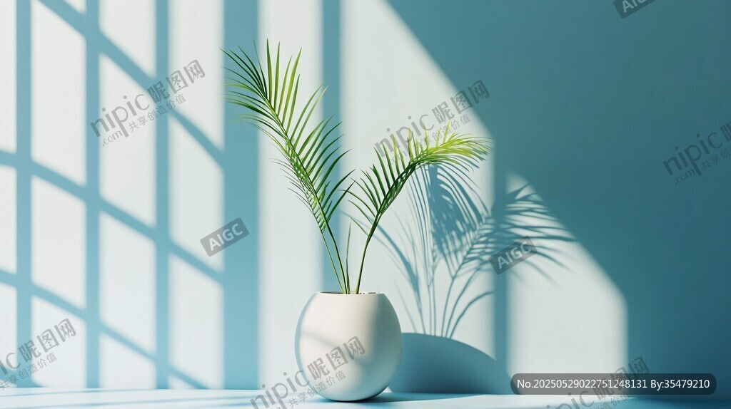 窗下白盆綠植光影之美