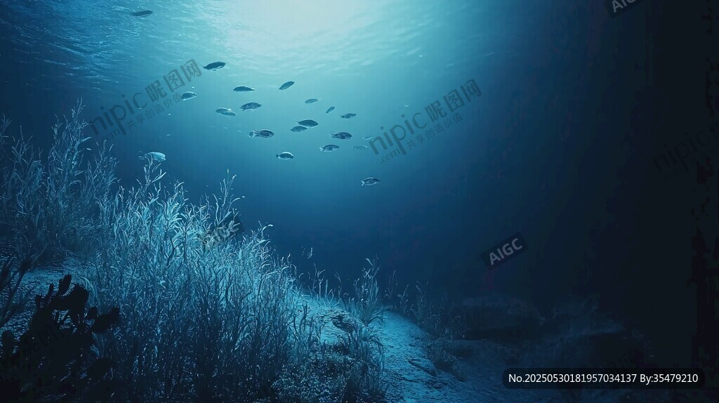 深海下的魚(yú)群與海草景觀