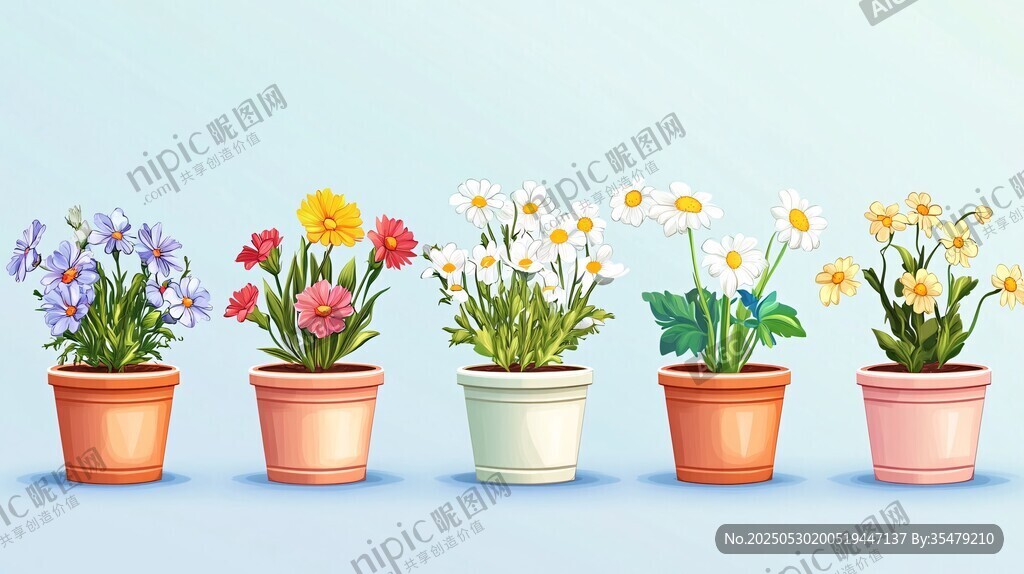 五彩盆栽花卉展示