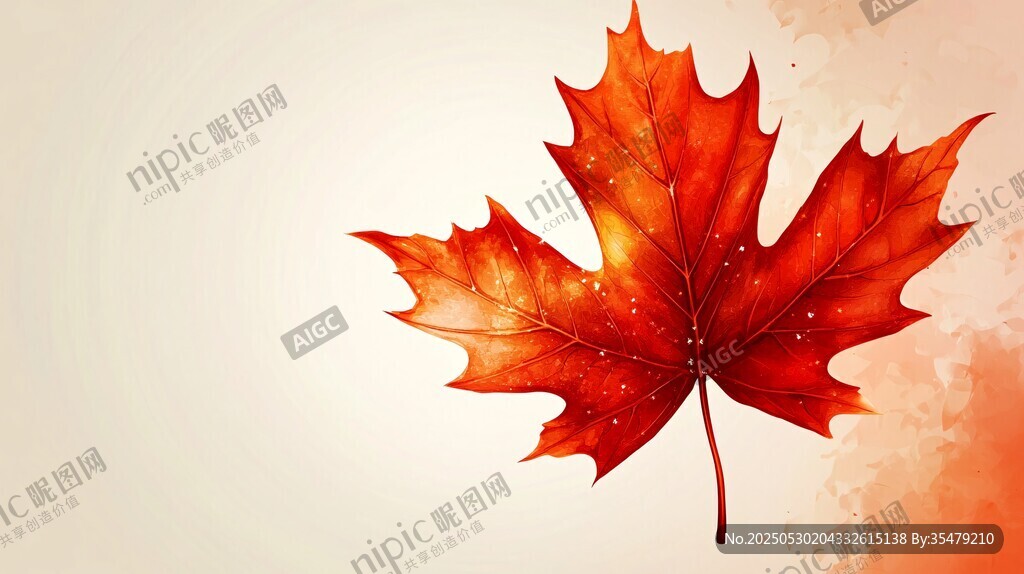 秋日紅楓葉的美麗瞬間