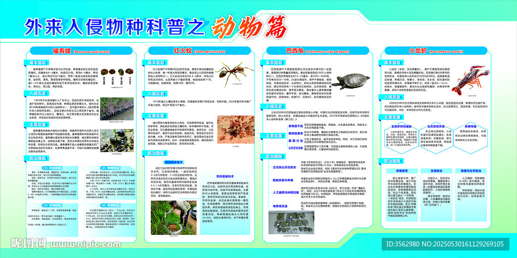 外來入侵物種科普之動物篇
