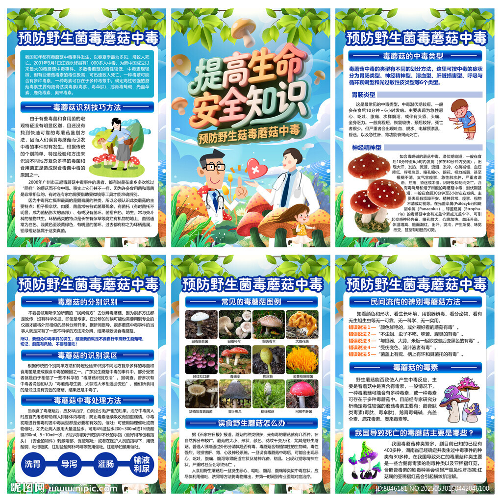 預防野生菌毒蘑菇中毒