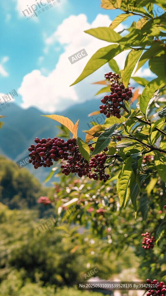 山野間的紅果綠葉景致