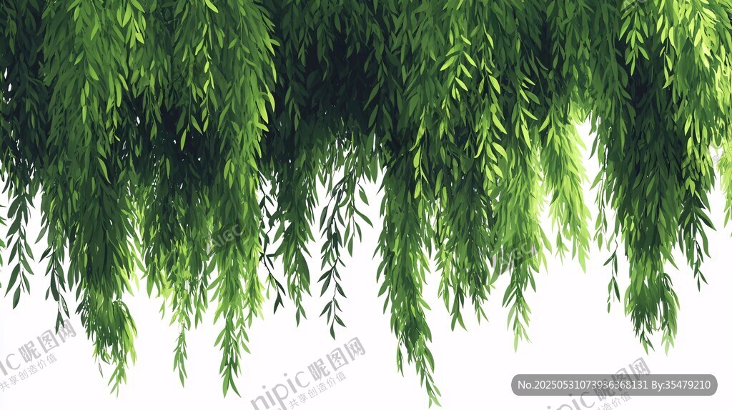 垂柳低垂 綠意盎然的景象