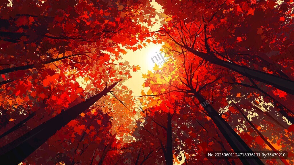 秋日紅楓林間的燦爛陽光