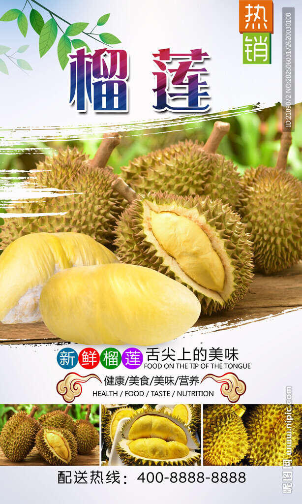 榴蓮  