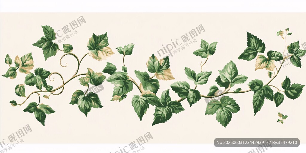 常春藤植物圖案精美插畫