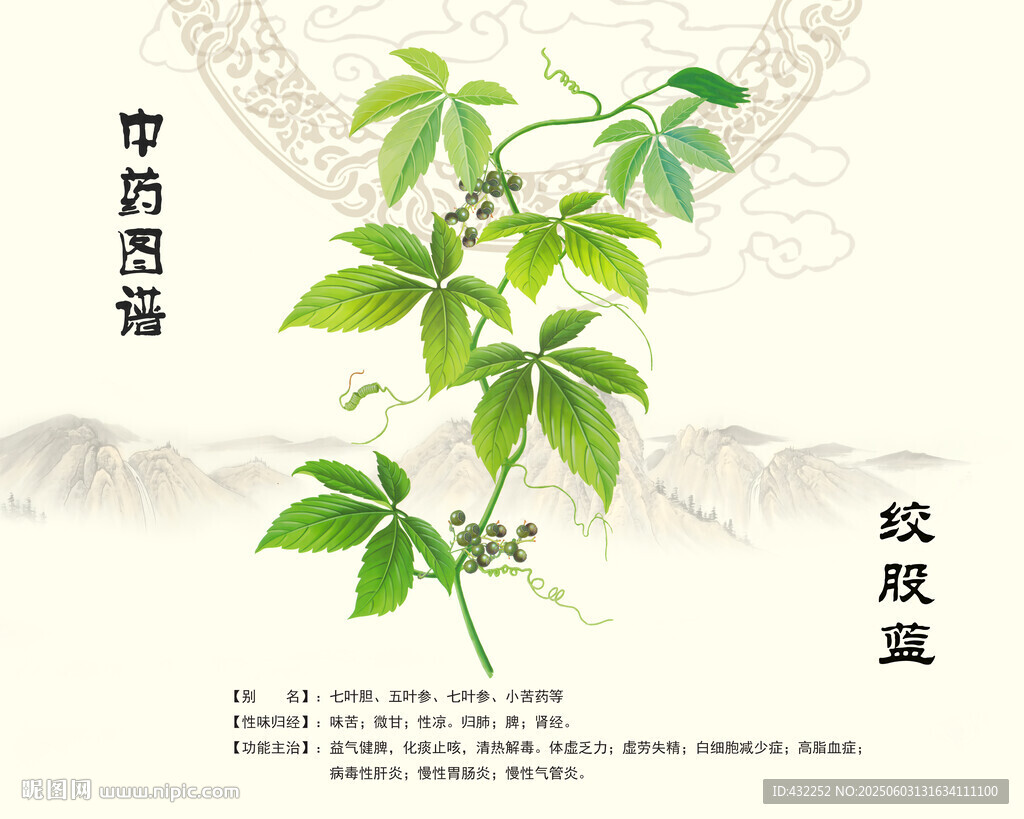 中藥絞股藍