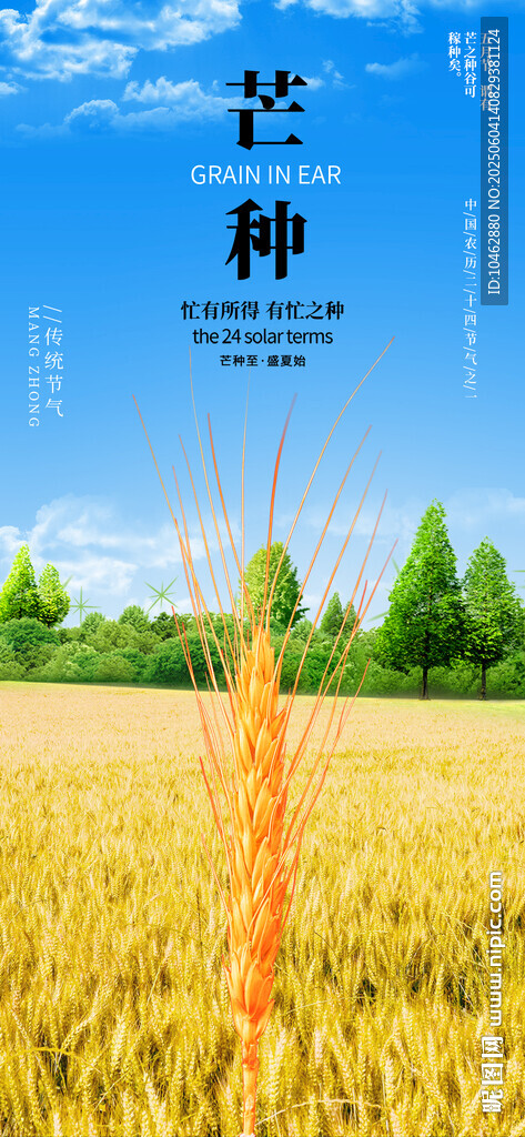 芒種節(jié)氣金色麥田豐收海報