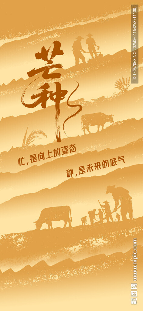 芒種海報(bào)