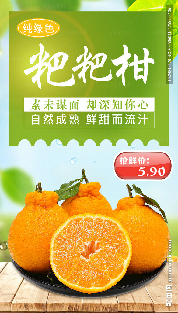 粑粑柑 橘子