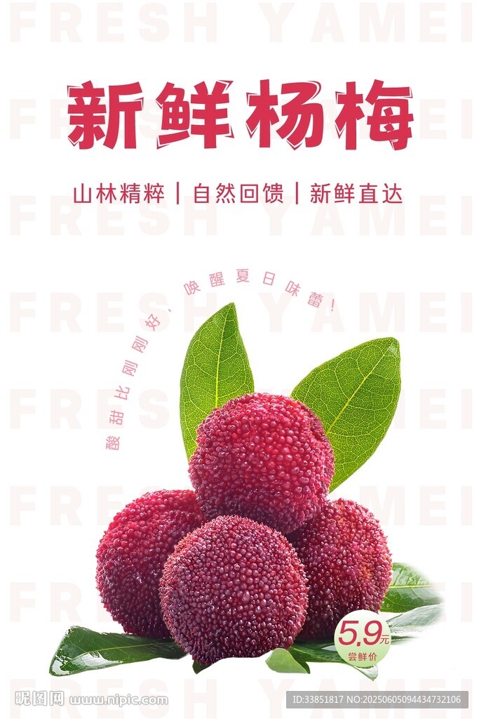 楊梅海報