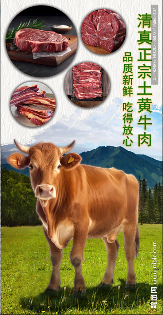 牛菜