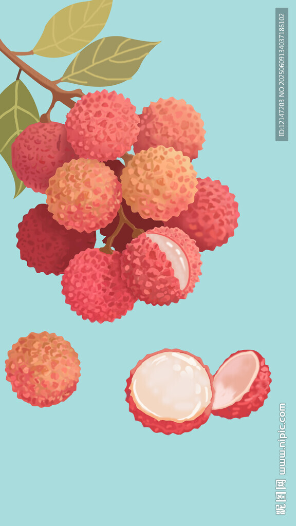 插畫 新鮮荔枝 漫畫  分圖層
