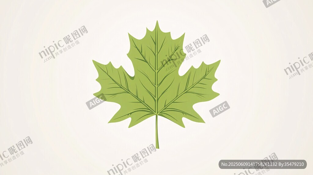 清新綠葉插畫