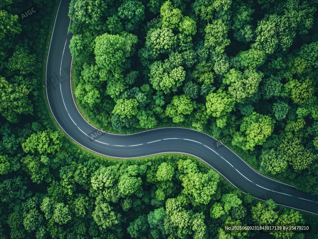 蜿蜒公路穿行翠綠森林