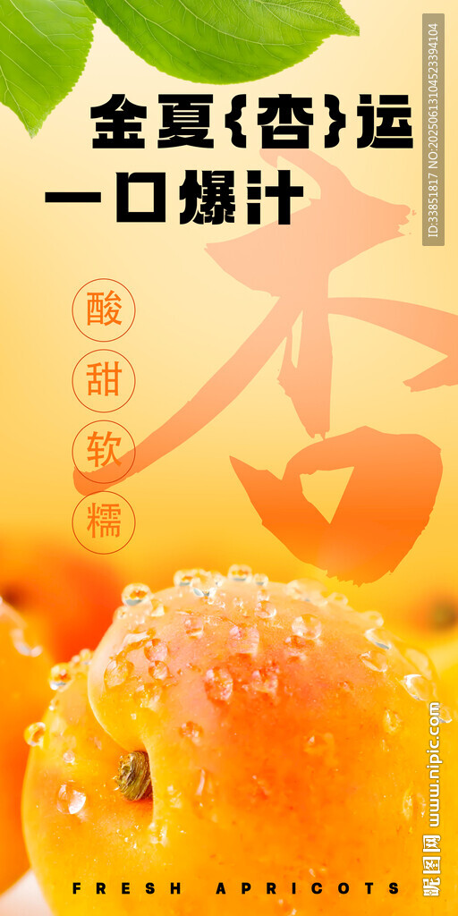 杏子海報(bào)