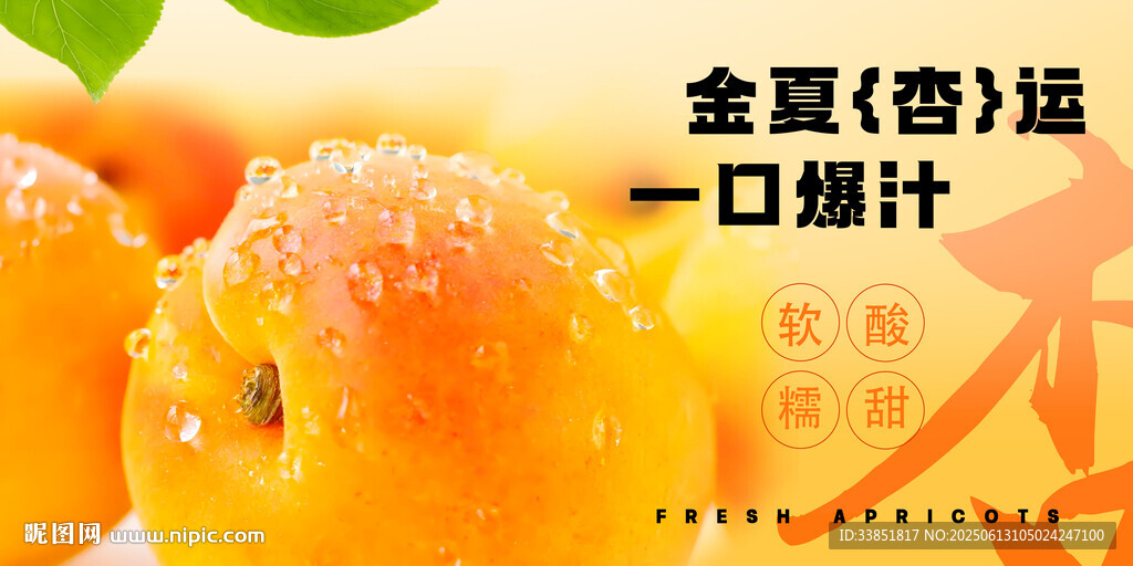 杏子海報