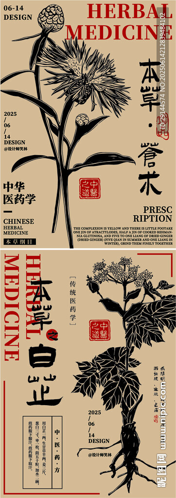 中醫(yī)藥草手繪插畫海報設計
