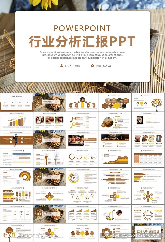 中醫中藥行業總結計劃PPT