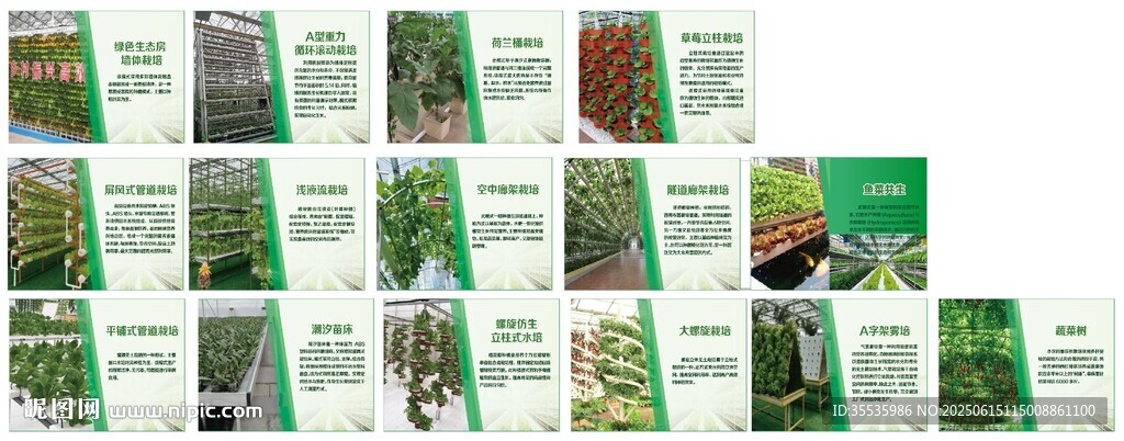 多樣植物種子展示圖