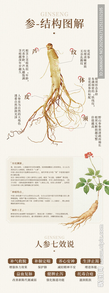 人參物料海報(bào)