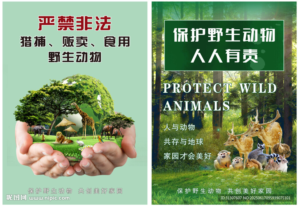 保護野生動物