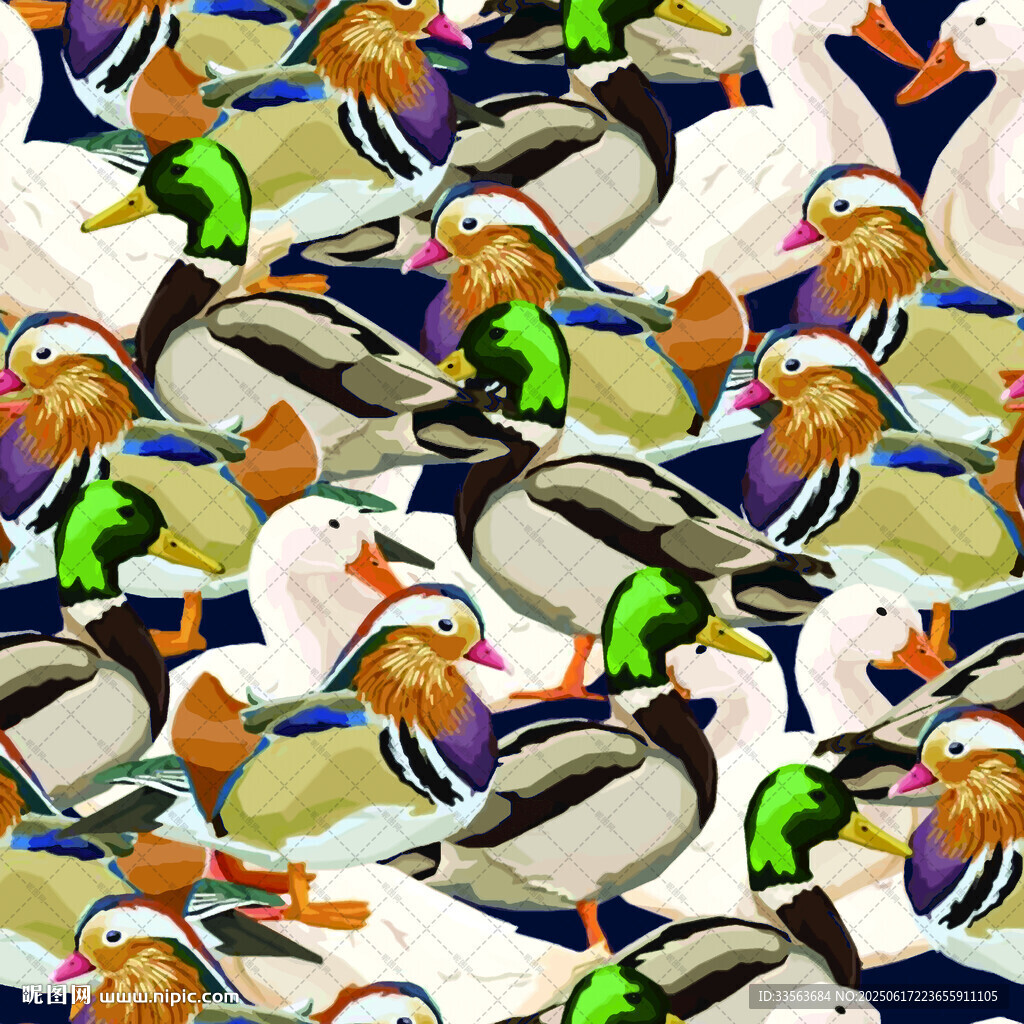 群鴨聚集畫面