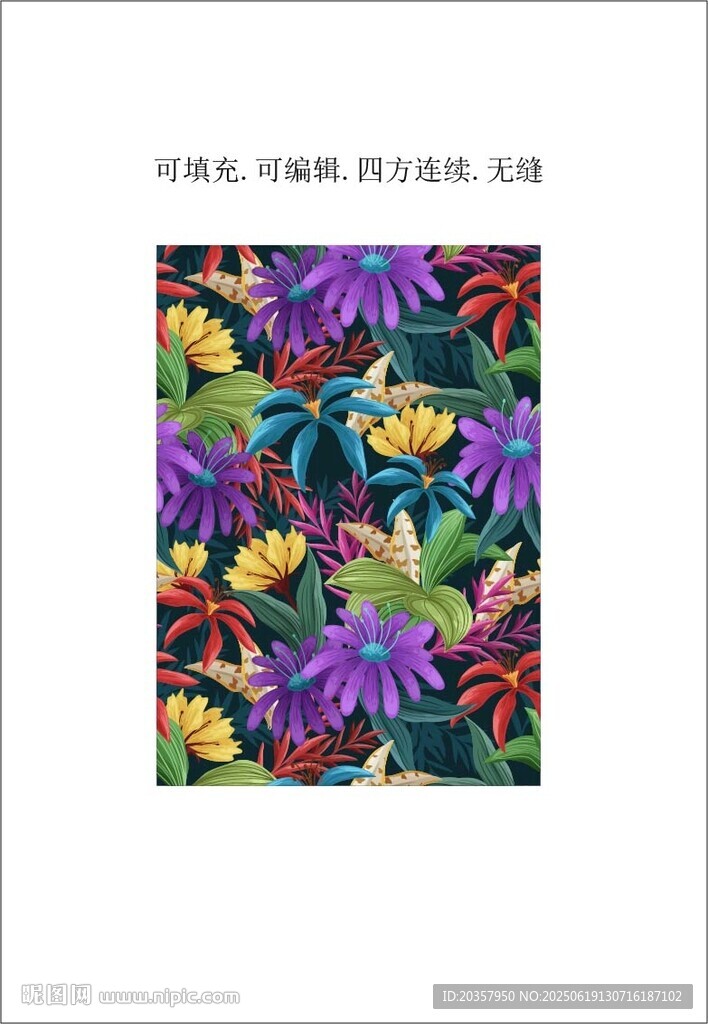 紫色菊花  花卉植物圖案