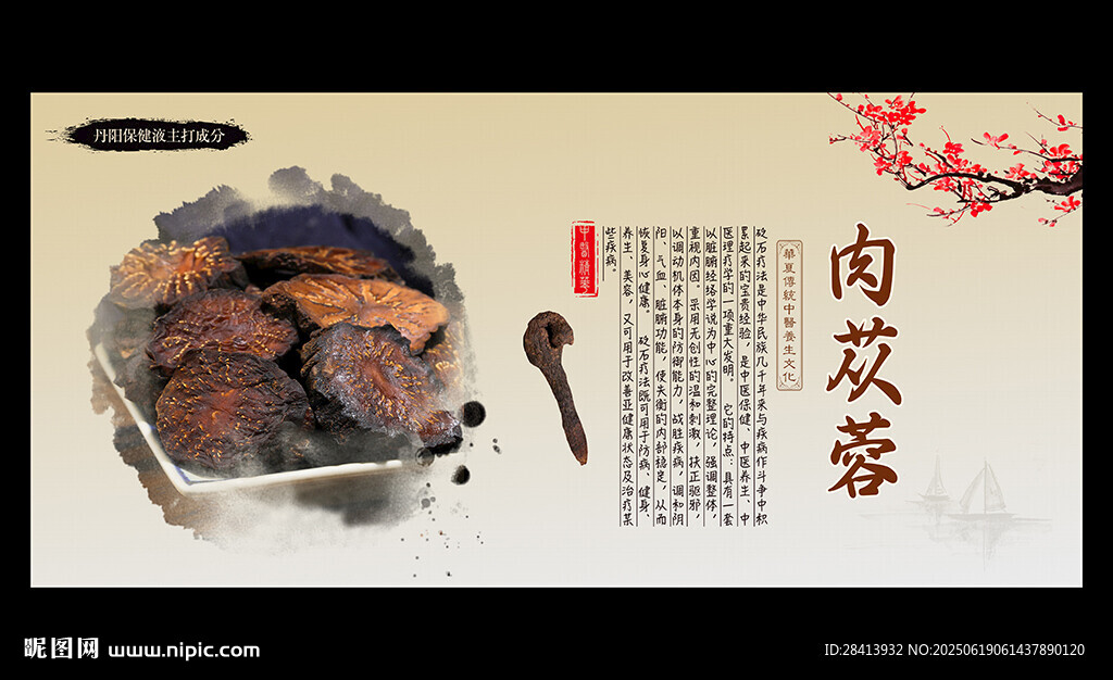 肉蓯蓉