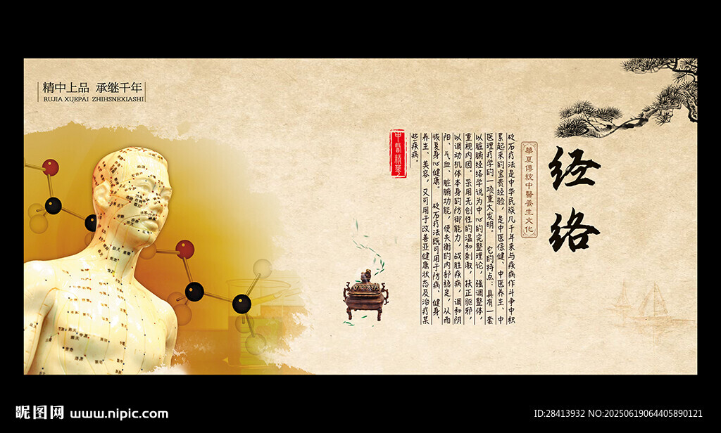 經(jīng)絡(luò)