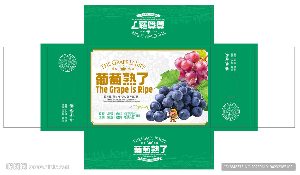 燙金葡萄熟了包裝平面展開圖