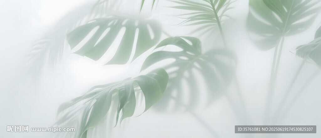 霧氣磨砂膜效果綠植貼圖