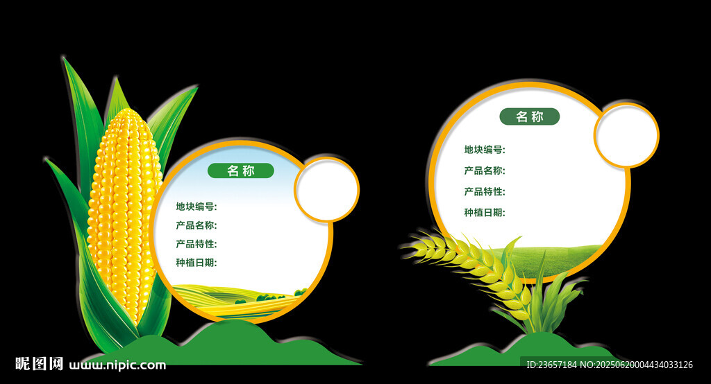 玉米雕塑 玉米標識 糧食造型