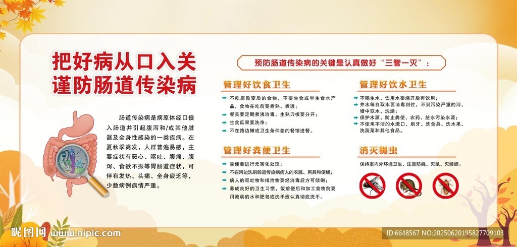 預(yù)防腸道傳染病