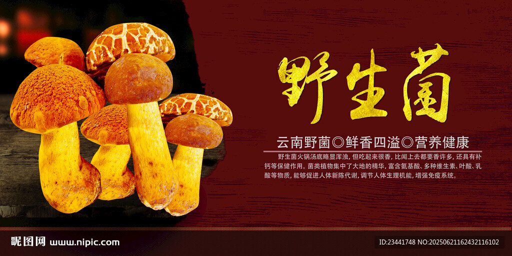 野生菌廣告  