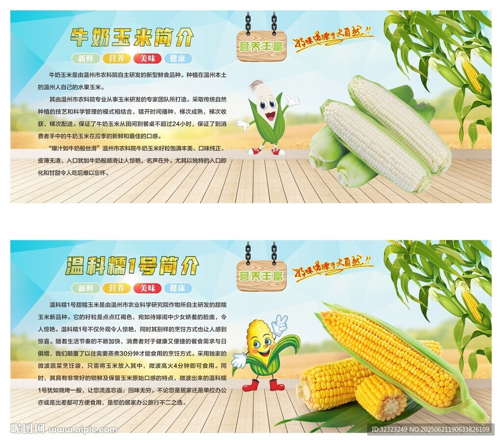 玉米簡介