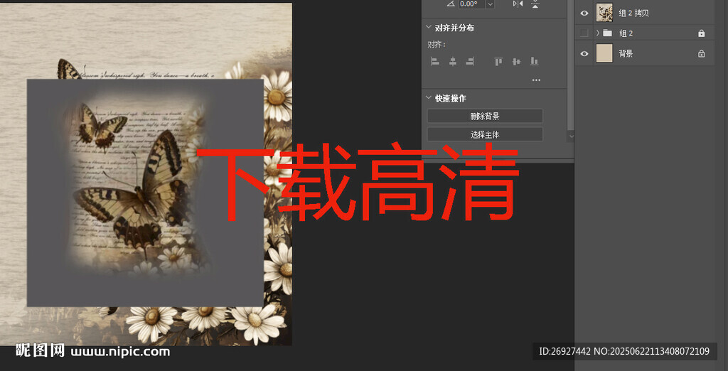 蝴蝶菊花